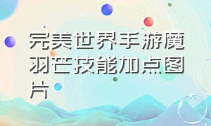 完美世界手游魔羽芒技能加点图片