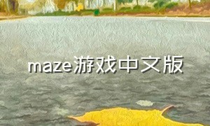maze游戏中文版