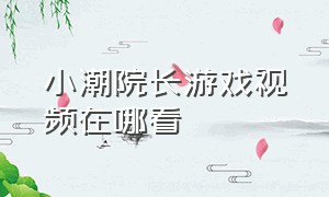 小潮院长游戏视频在哪看