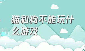 猫和狗不能玩什么游戏