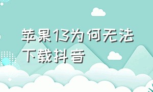 苹果13为何无法下载抖音