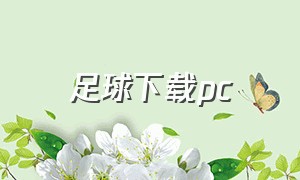 足球下载pc（电脑版足球怎么下载）