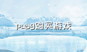 pubg购买游戏