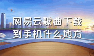 网易云歌曲下载到手机什么地方（网易云下载的歌曲在手机怎么找到）