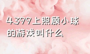 4399上照顾小球的游戏叫什么