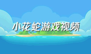 小花蛇游戏视频