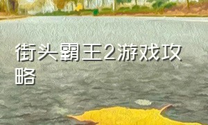 街头霸王2游戏攻略（街头霸王2游戏攻略视频）