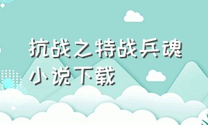 抗战之特战兵魂小说下载（抗战之兵魂传奇免费全文下载）