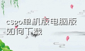 csgo单机版电脑版如何下载（csgo电脑版怎么下载免费）