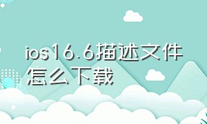 ios16.6描述文件怎么下载