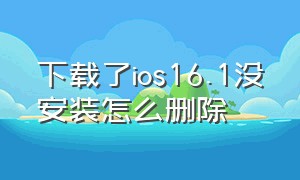 下载了ios16.1没安装怎么删除