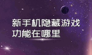 新手机隐藏游戏功能在哪里（新手机隐藏游戏功能在哪里打开）