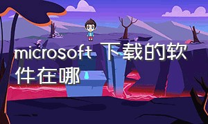 microsoft 下载的软件在哪