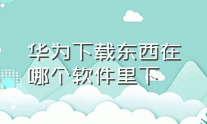 华为下载东西在哪个软件里下