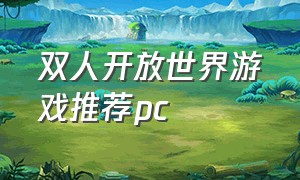 双人开放世界游戏推荐pc