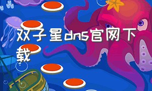 双子星dns官网下载