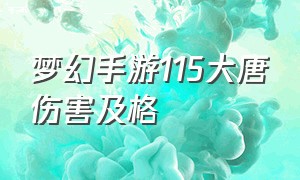 梦幻手游115大唐伤害及格