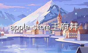 apple store王府井（apple store苹果应用商店下载）