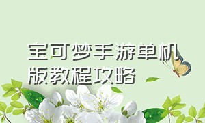 宝可梦手游单机版教程攻略