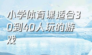 小学体育课适合30到40人玩的游戏