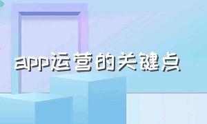 app运营的关键点（运营app需要什么资质）