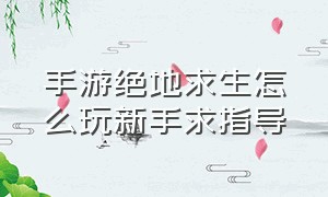 手游绝地求生怎么玩新手求指导