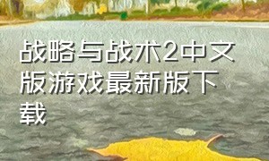 战略与战术2中文版游戏最新版下载