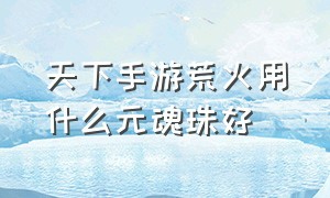 天下手游荒火用什么元魂珠好