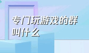 专门玩游戏的群叫什么（玩游戏的群名可以叫什么搞笑的）