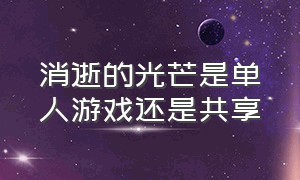 消逝的光芒是单人游戏还是共享