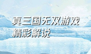 真三国无双游戏精彩解说