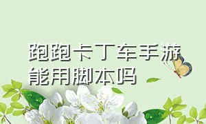 跑跑卡丁车手游能用脚本吗