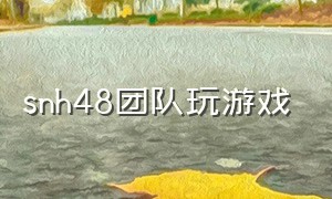 snh48团队玩游戏（snh48小游戏）