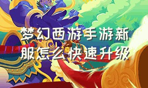 梦幻西游手游新服怎么快速升级（梦幻西游手游网易官方正版）