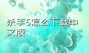 杀手5怎么下载中文版（杀手5下载中文补丁后怎么设置）