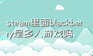 steam里面blackberry是多人游戏吗（steam berry正规吗）
