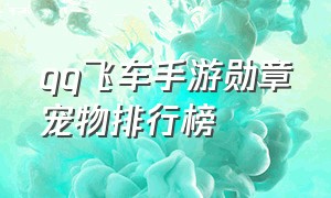 qq飞车手游勋章宠物排行榜（qq飞车手游租号平台）