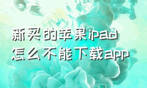 新买的苹果ipad怎么不能下载app