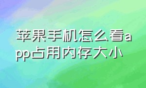 苹果手机怎么看app占用内存大小