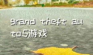 grand theft auto5游戏