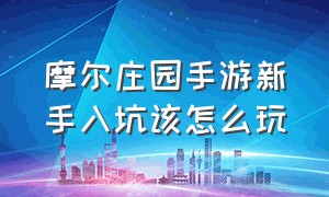 摩尔庄园手游新手入坑该怎么玩