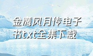 金鹰风月传电子书txt全集下载