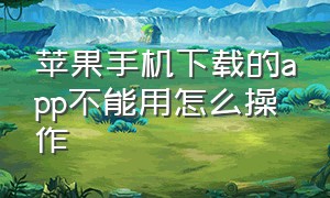 苹果手机下载的app不能用怎么操作