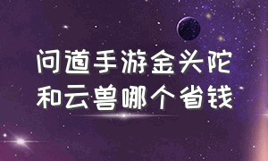 问道手游金头陀和云兽哪个省钱