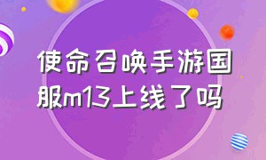 使命召唤手游国服m13上线了吗（使命召唤手游国服m13的所有皮肤）