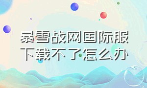 暴雪战网国际服下载不了怎么办