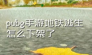 pubg手游地铁逃生怎么下架了（pubg地铁逃生手游2024新版本）