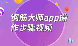 钢筋大师app操作步骤视频