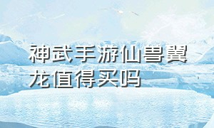 神武手游仙兽翼龙值得买吗