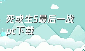 死或生5最后一战pc下载